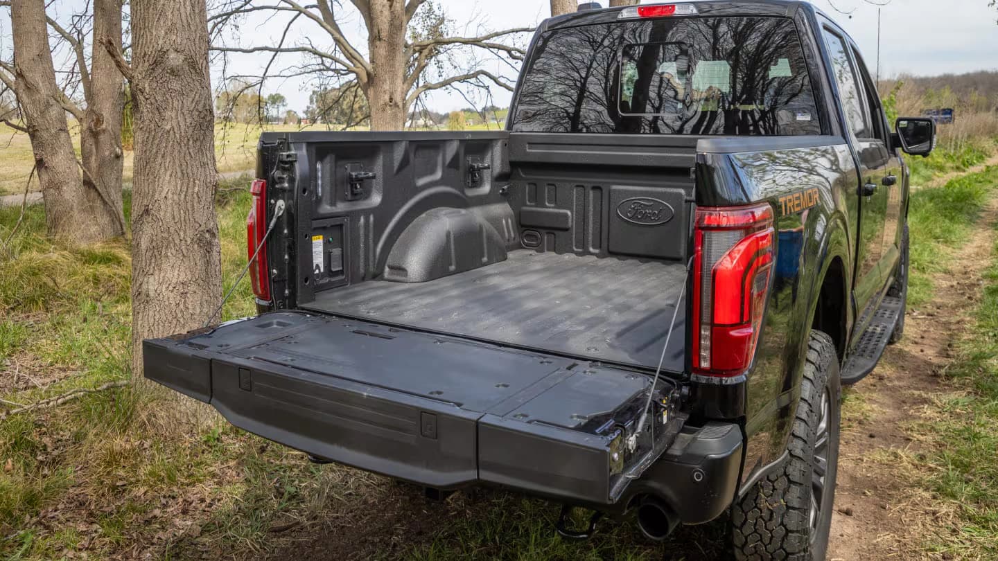 Ford F-150 Tremor Tremor - foto 5