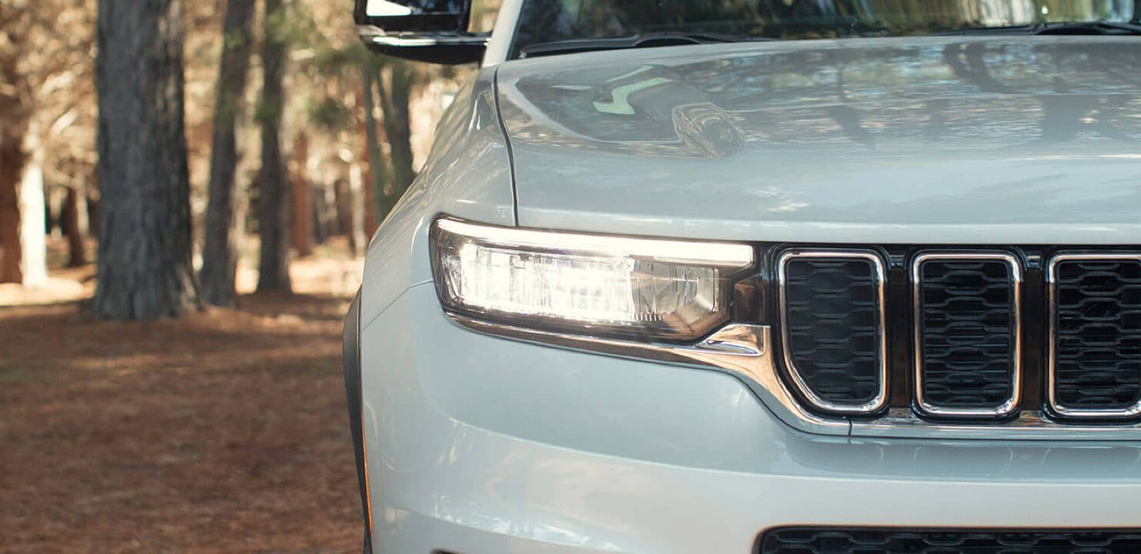 Jeep Grand Cherokee Limited - foto 2