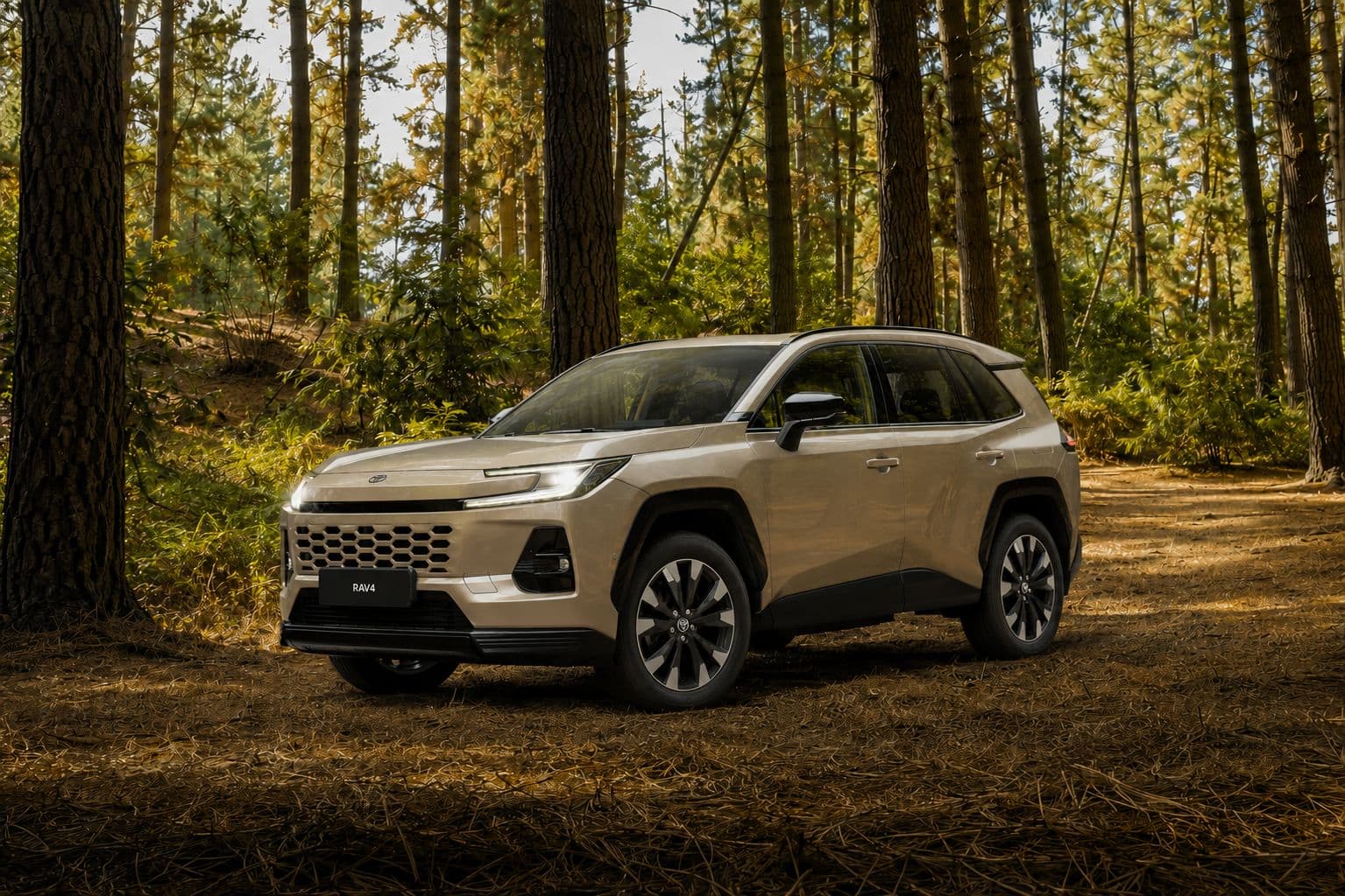 Toyota RAV4 HEV AWD Limited - foto 1